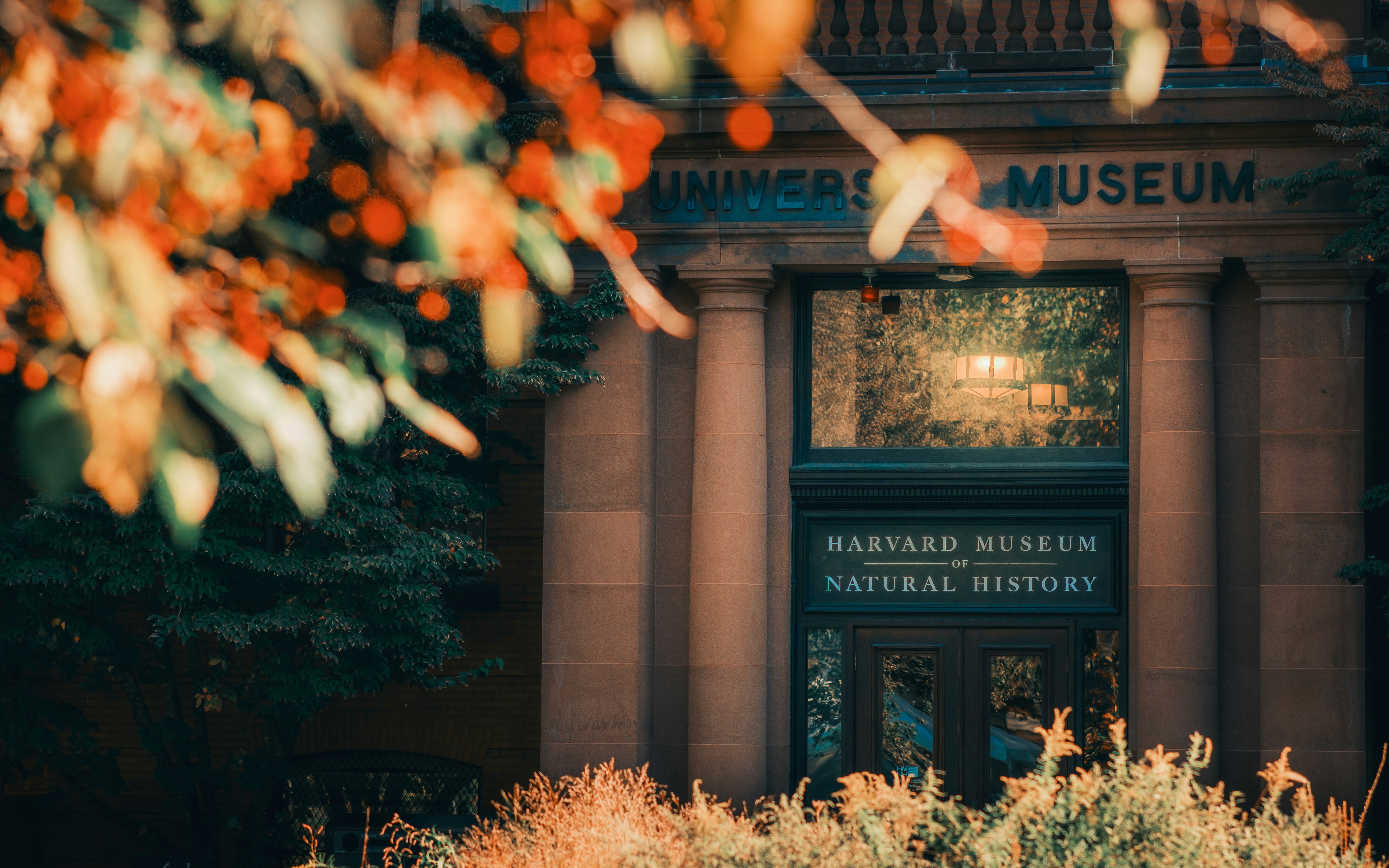 Tianlei Wu Sbg3db35wzi Unsplash