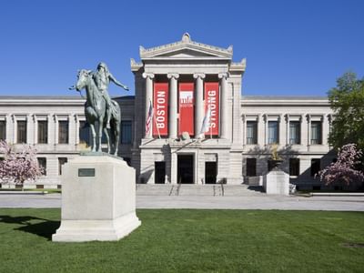 Museum Of Fine Arts Result Standard